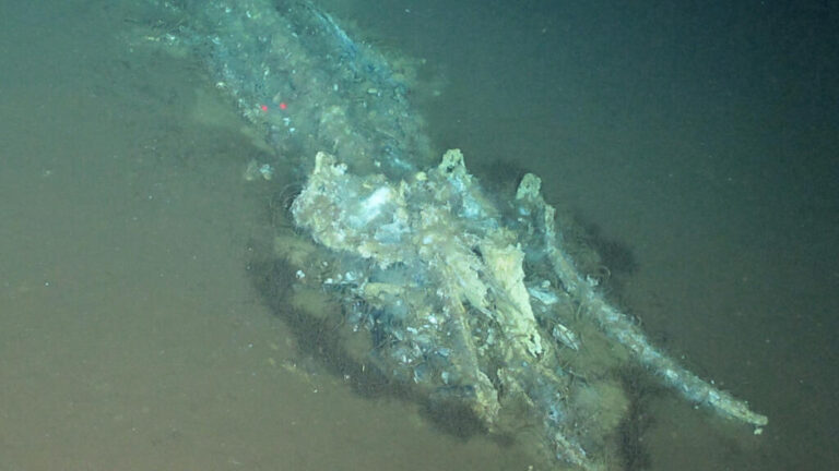 El mayor cementerio de ballenas del mundo, descubierto por un submarino chino
