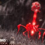 Featured image placeholder 16:9